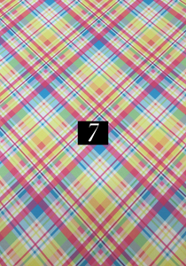 Bright Plaid Series