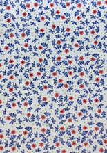 Load image into Gallery viewer, Pebbled Blue &amp; Red Floral -