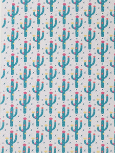 Blooming Cacti Collection