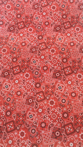 Bandanna Print