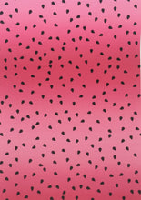 Load image into Gallery viewer, Ombré Watermelon Seeds