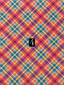 Bright Plaid Series